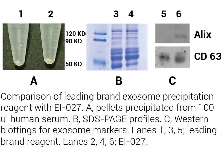 MinuteTM Hi-Efficiency Exosome Isolation Reagent (Non-PEG)