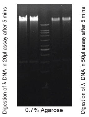 Acc65I