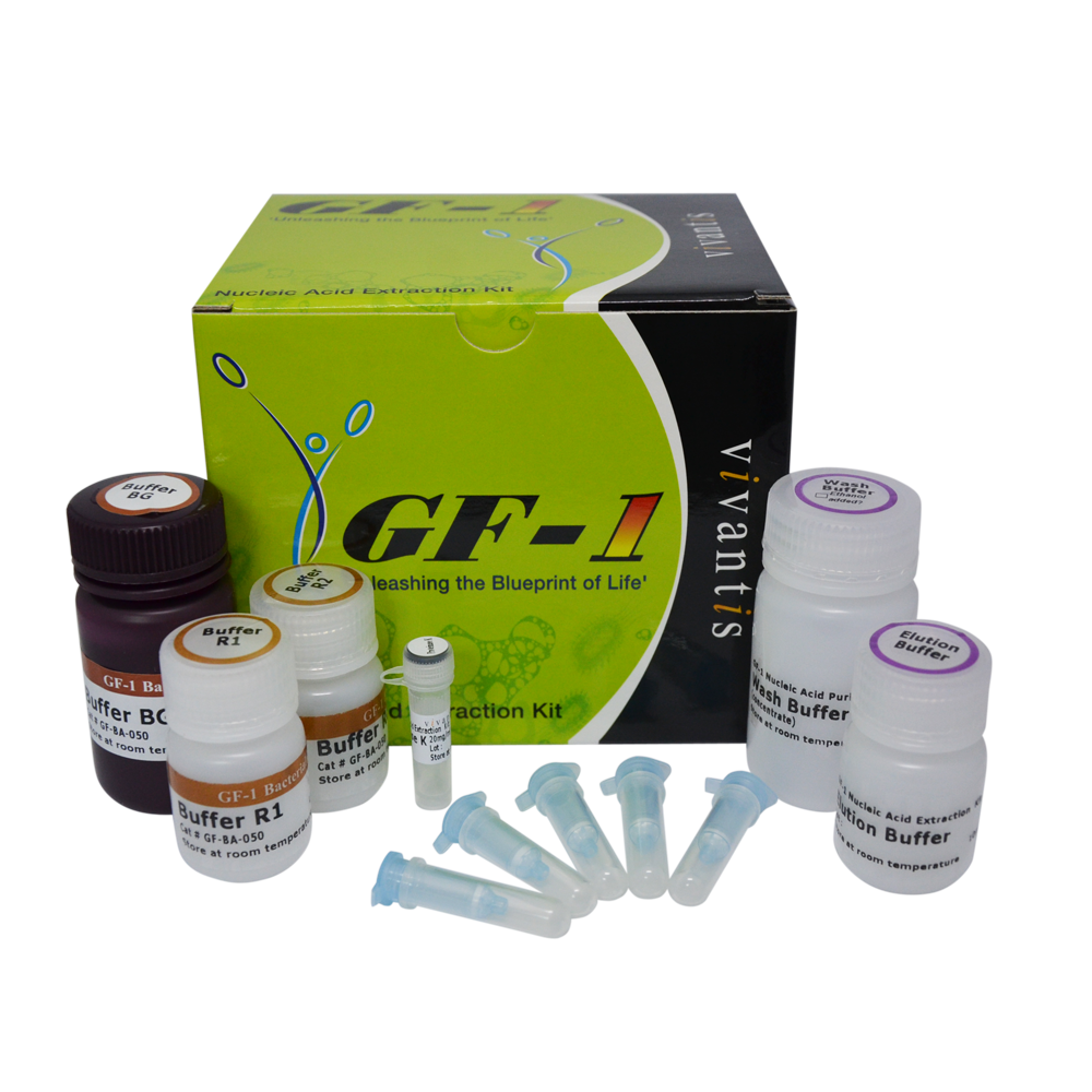 GF-1 Bacterial DNA Extraction Kit (Proteinase K included)