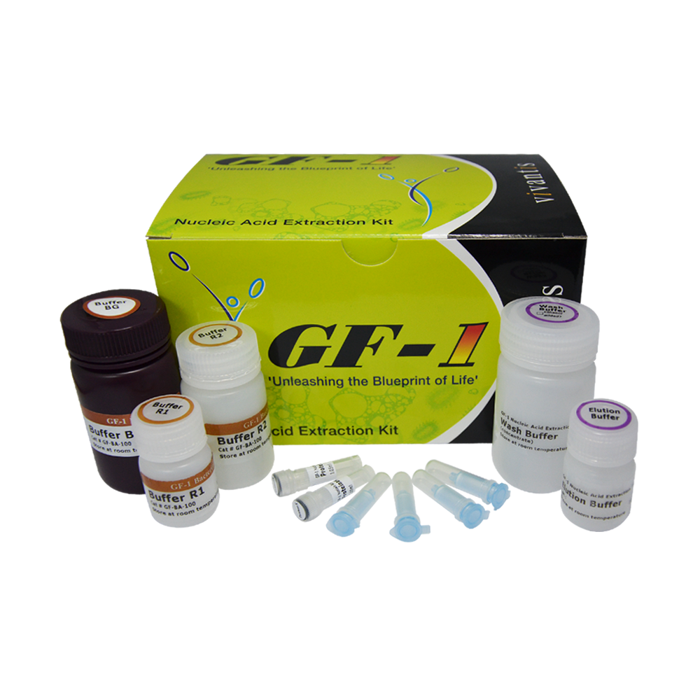 GF-1 Bacterial DNA Extraction Kit (Proteinase K included)