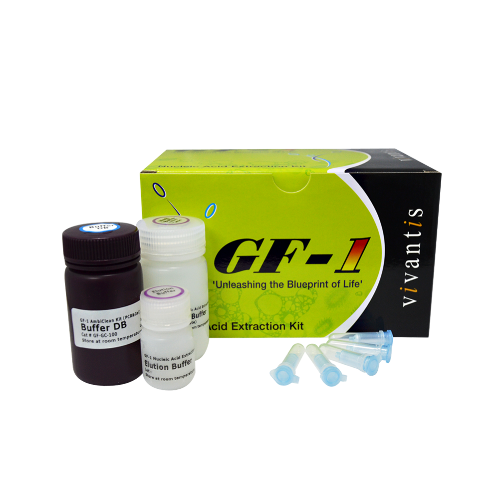 GF-1 AmbiClean Kit (Gel & PCR)