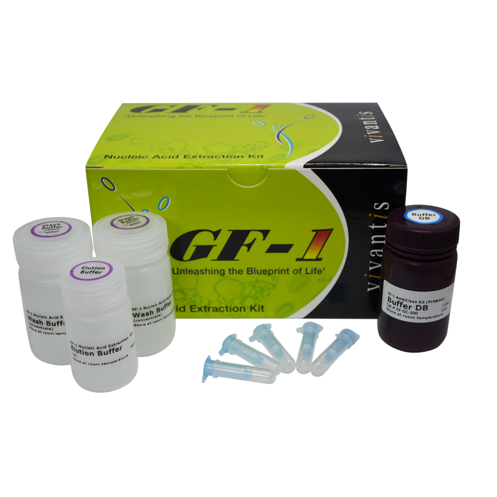 GF-1 AmbiClean Kit (Gel & PCR)