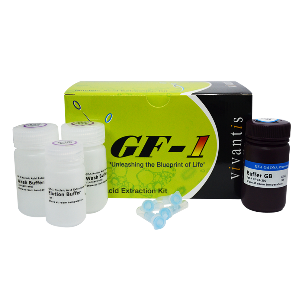GF-1 Gel DNA Recovery Kit