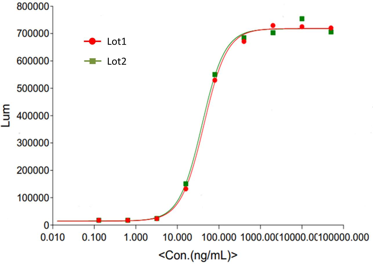 Cetuximab - Q2UB