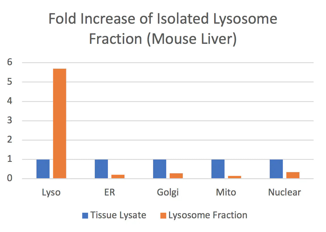 MinuteTM Lysosome Isolation Kit