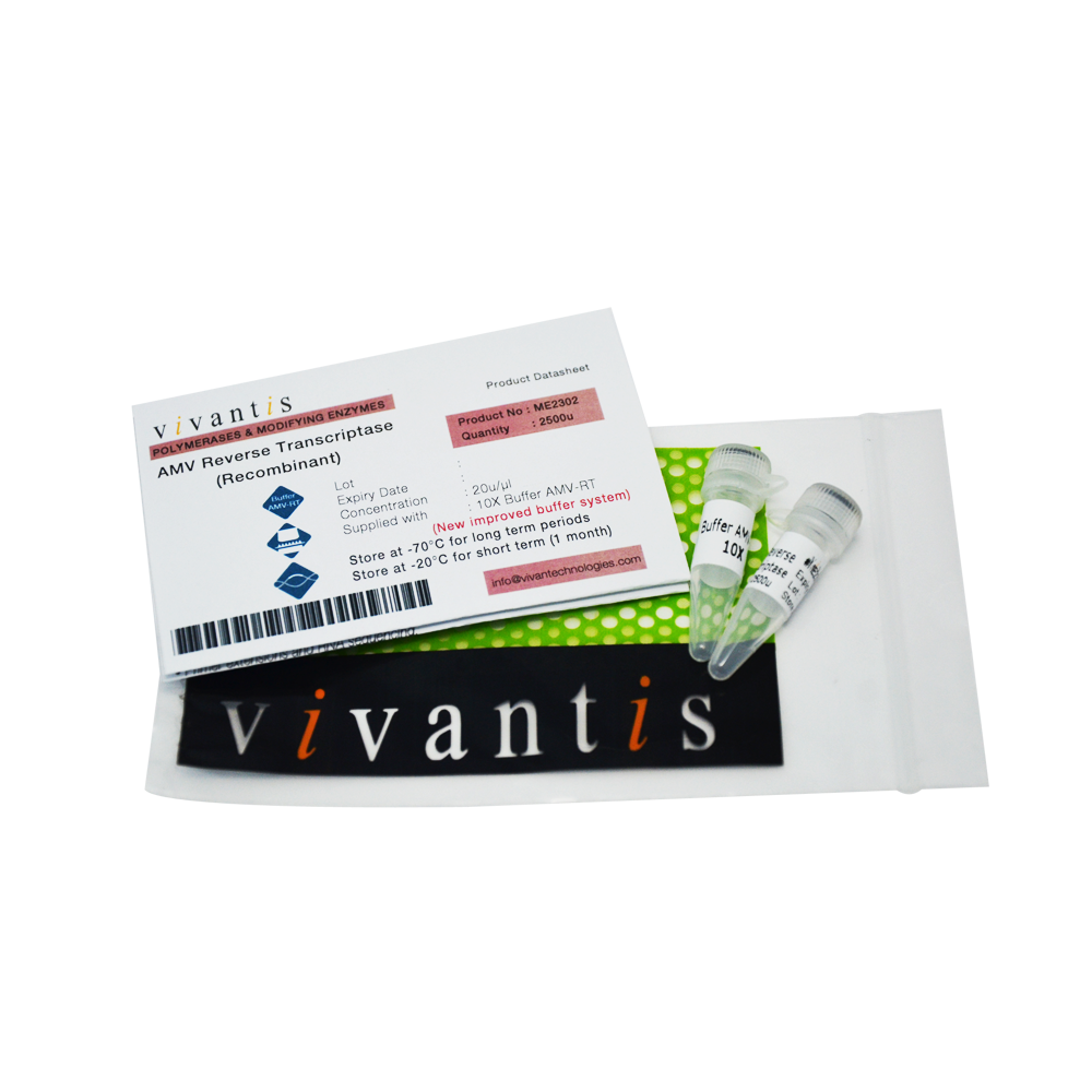 AMV Reverse Transcriptase (Recombinant)