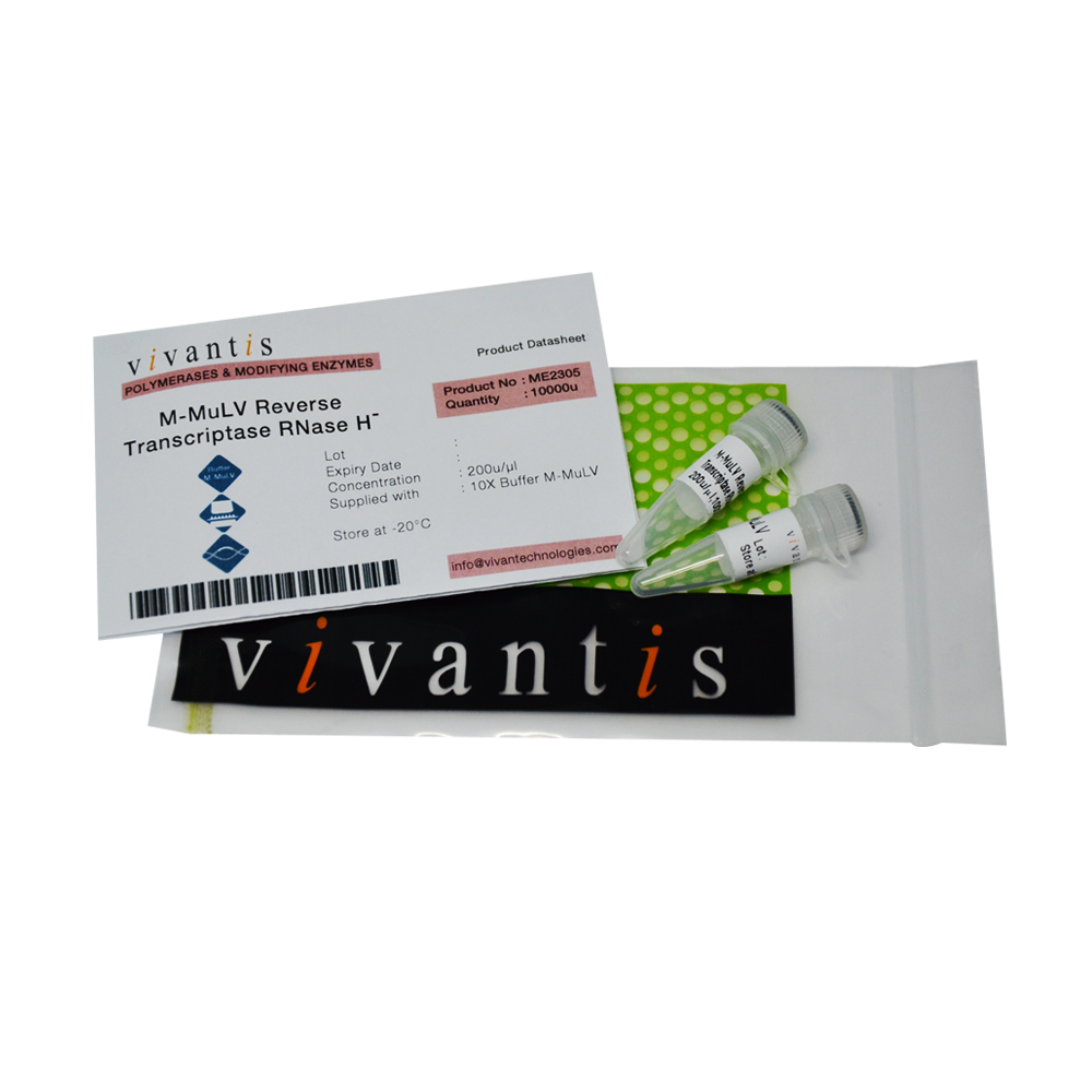 M-MuLV Reverse Transcriptase (RNase H-)