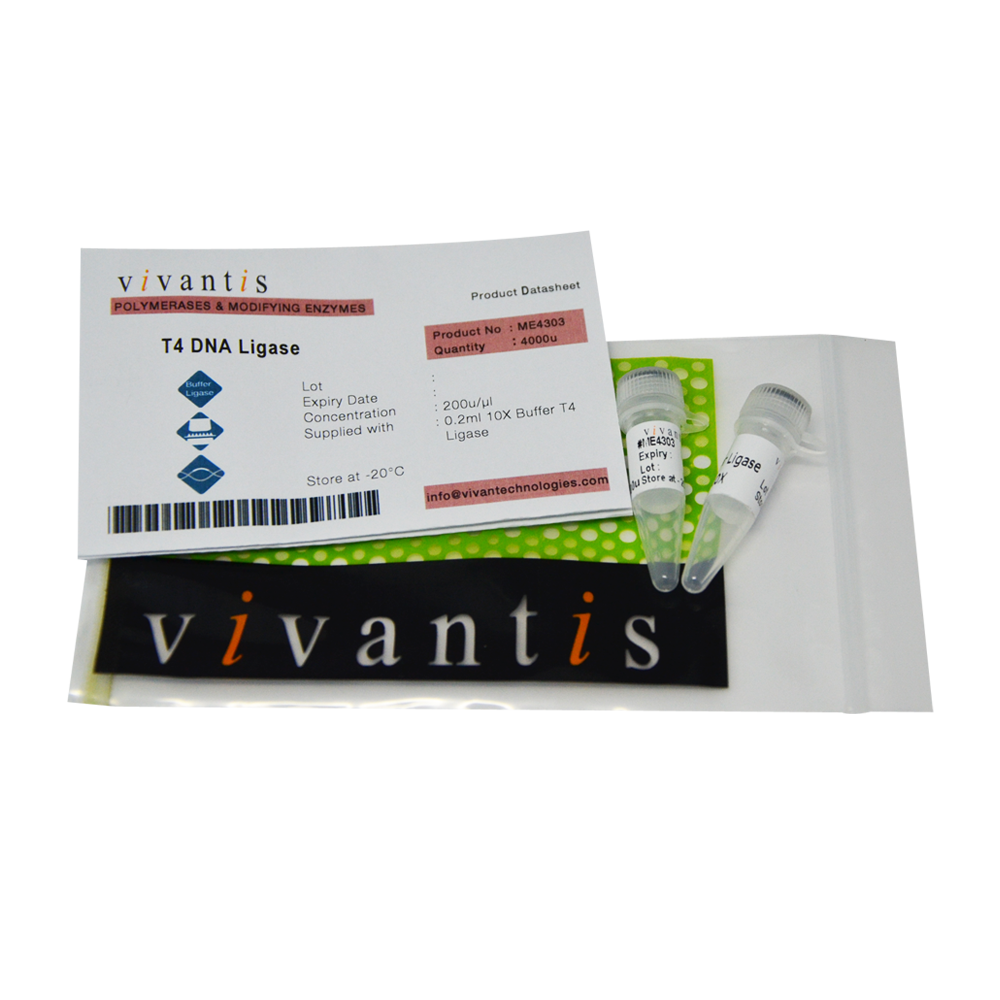 T4 DNA Ligase - Q2UB