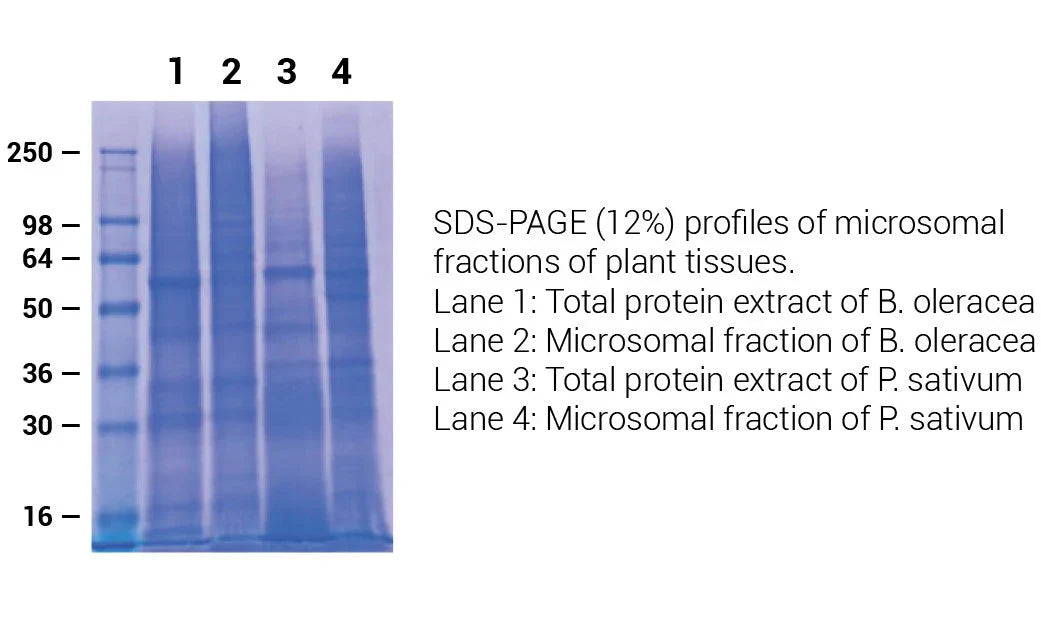 Minute™ Plant Microsomal Membrane Extraction Kit