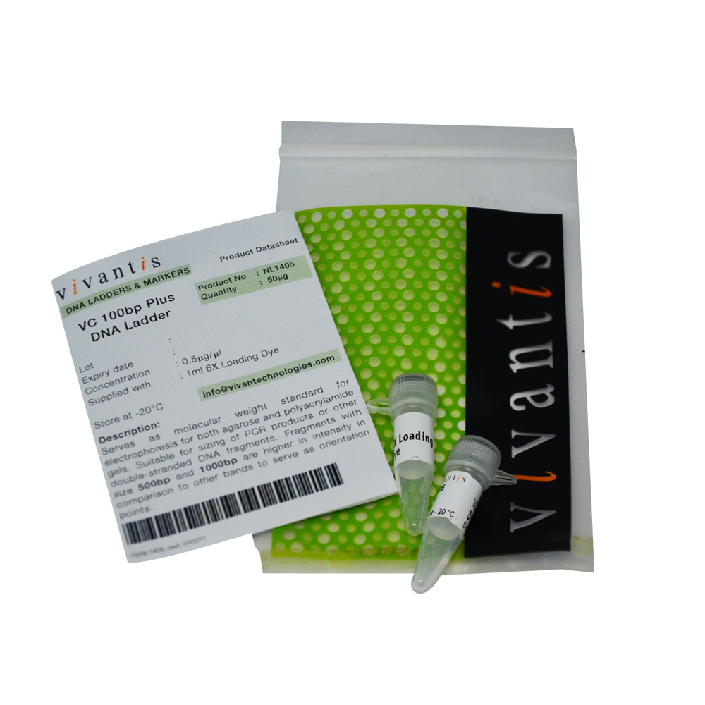 VC100bp Plus DNA Ladder