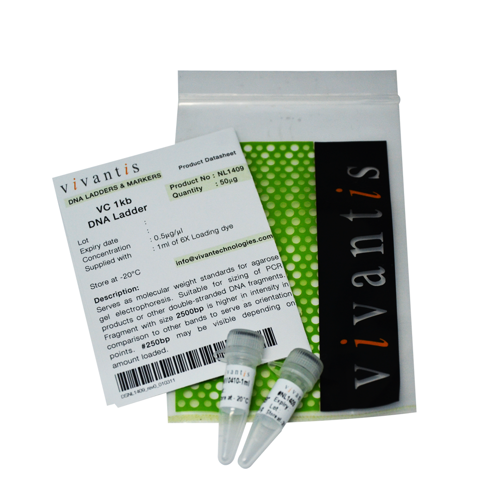 VC1kb DNA Ladder - Q2UB