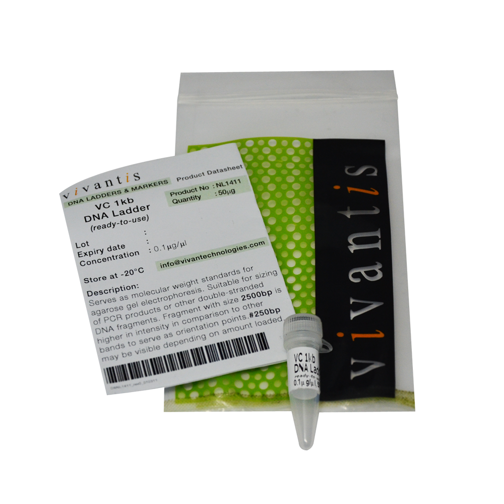 VC1kb DNA Ladder (ready-to-use) - Q2UB