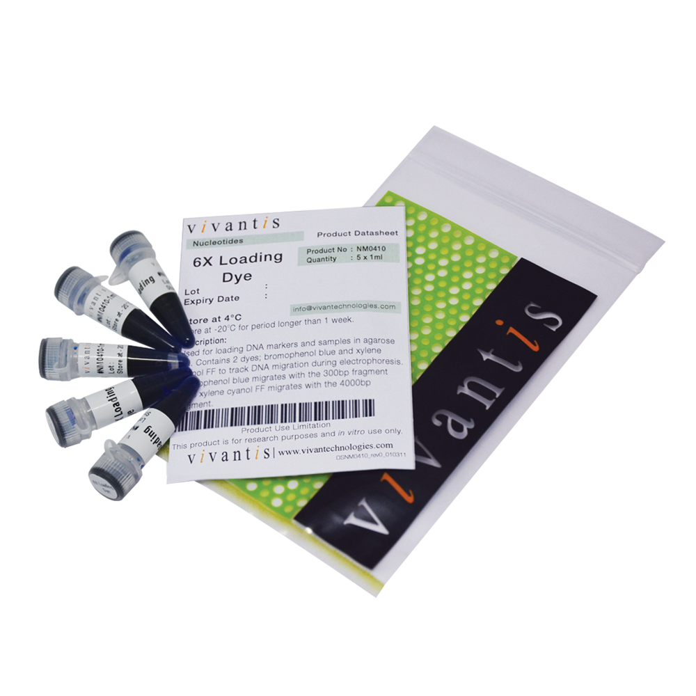 6x Loading Dye (with xylene cyanol gel loading dye)