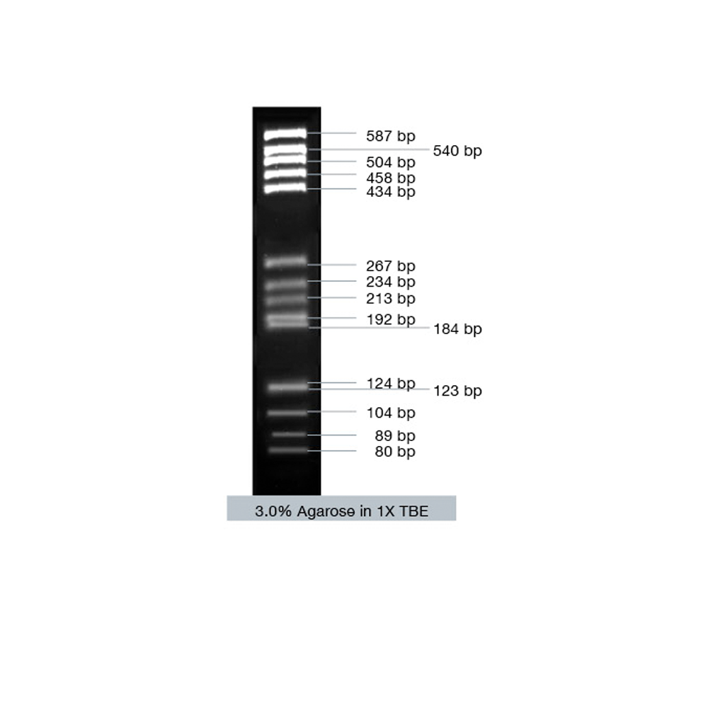VC pBR 322/ Hae III Marker