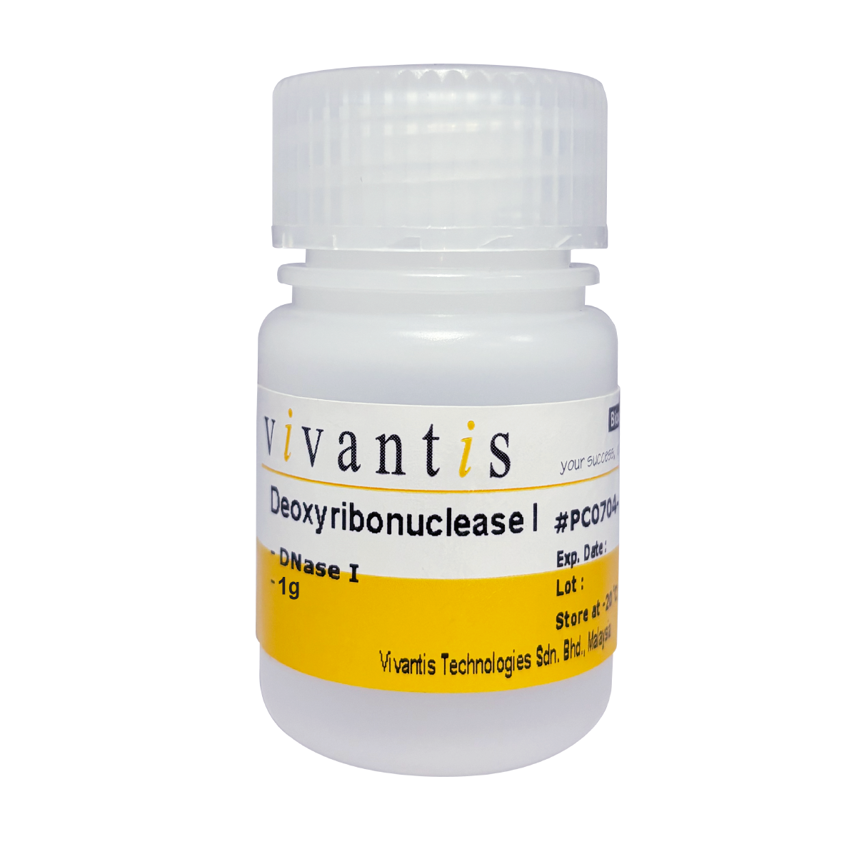 Deoxyribonuclease I (DNase I) - Q2UB