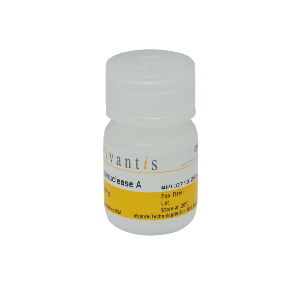 Ribonuclease A (RNase A), High Purity Grade