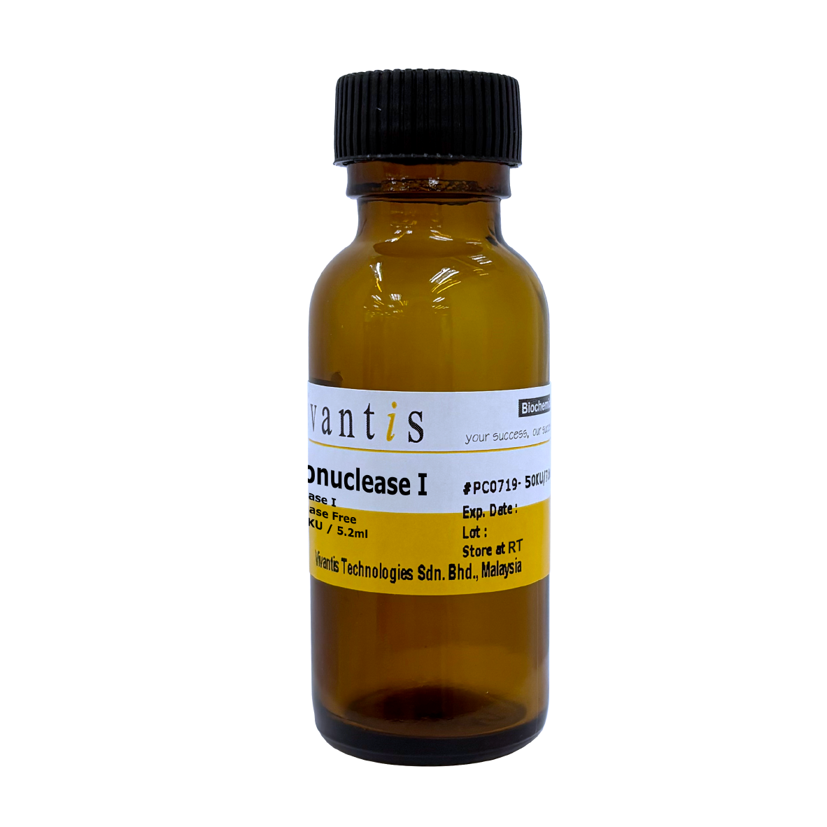 Deoxyribonuclease I (DNase I) - for RNA work
