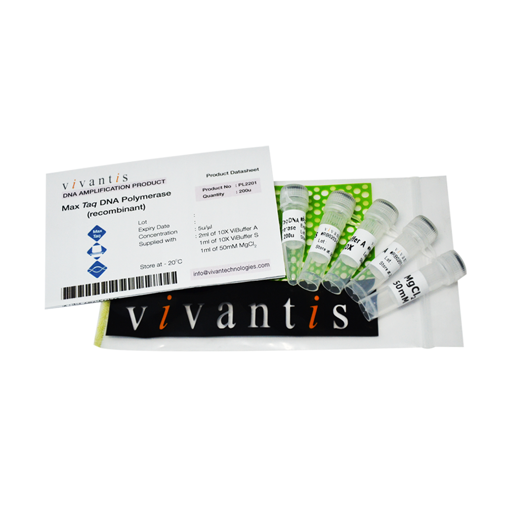 MaxTaq DNA Polymerase (5U/µl)