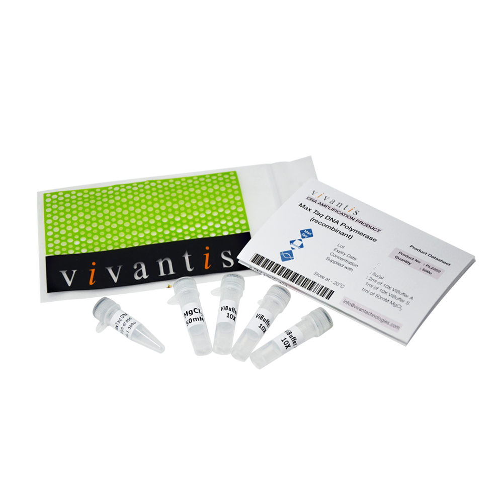 MaxTaq DNA Polymerase (5U/µl)