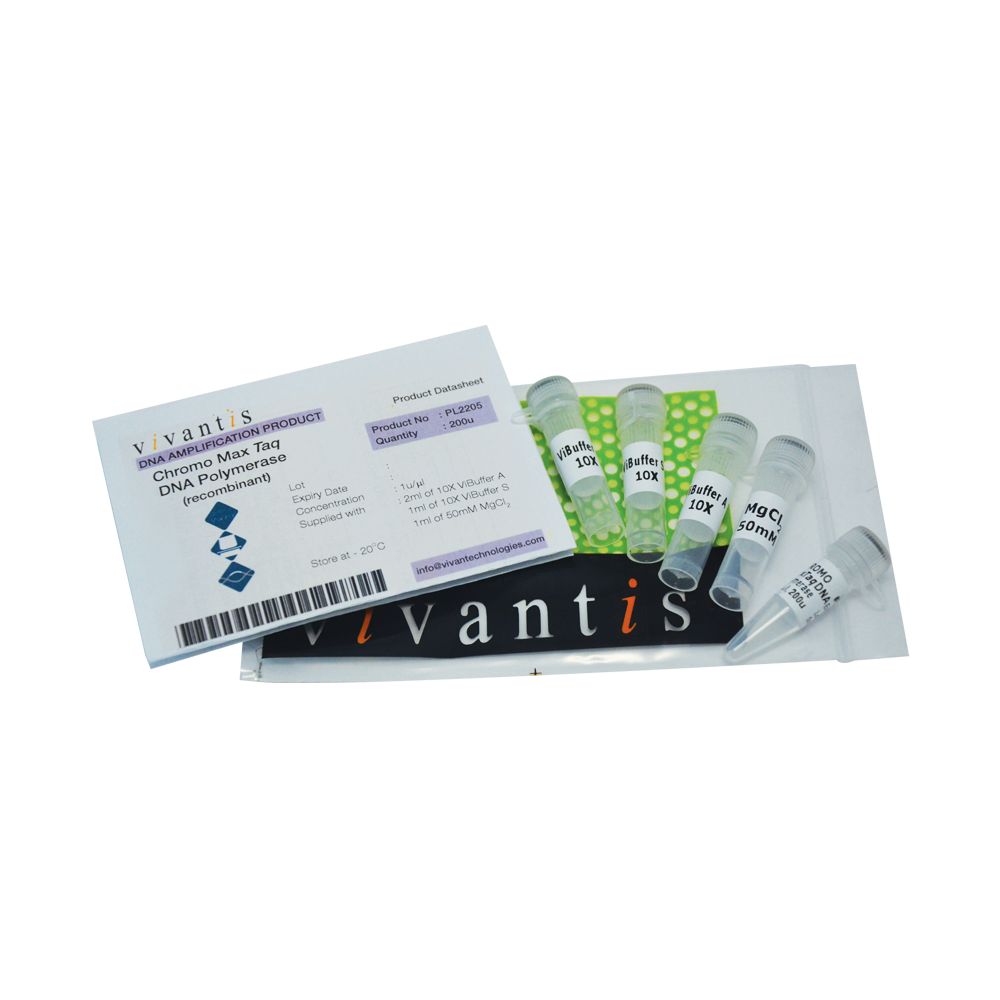 Chromo MaxTaq DNA Polymerase (1U/µl) - Q2UB