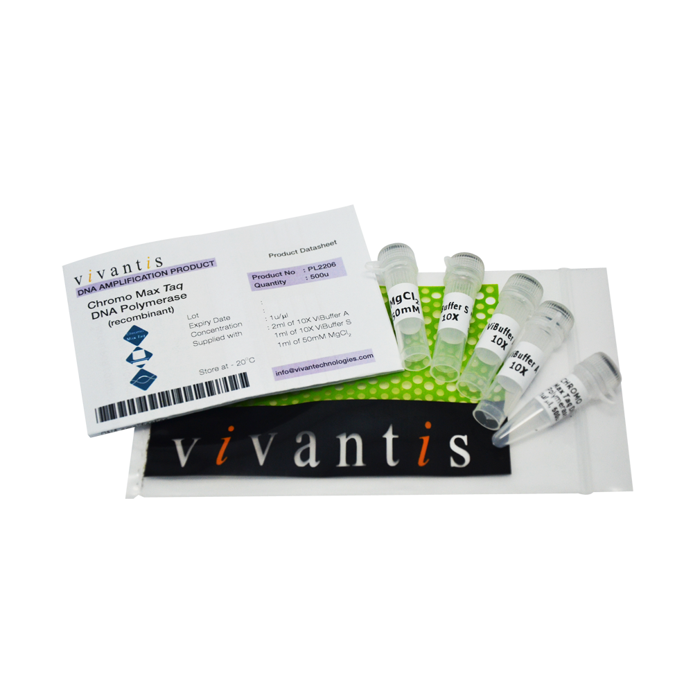 Chromo MaxTaq DNA Polymerase (1U/µl) - Q2UB