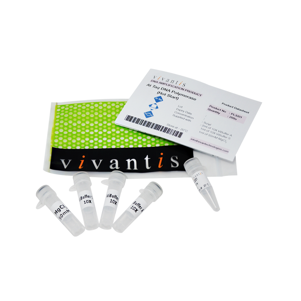 AtTaq DNA Polymerase (5U/µl)