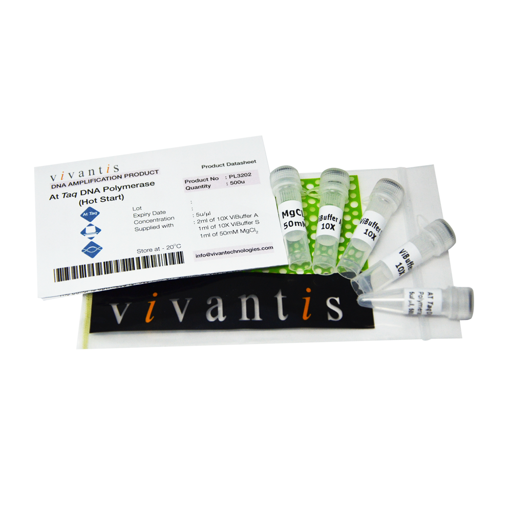 AtTaq DNA Polymerase (5U/µl)
