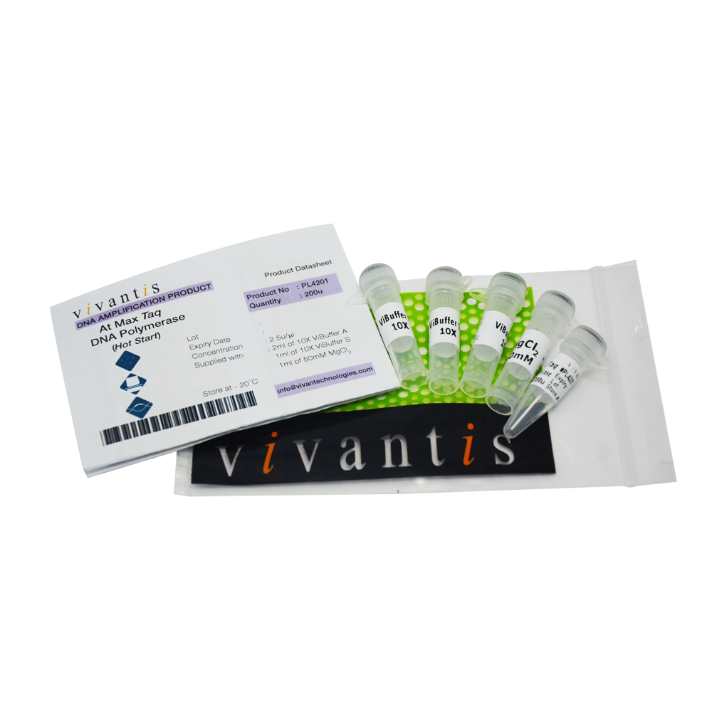 AtMax Taq DNA Polymerase (2.5U/µl)