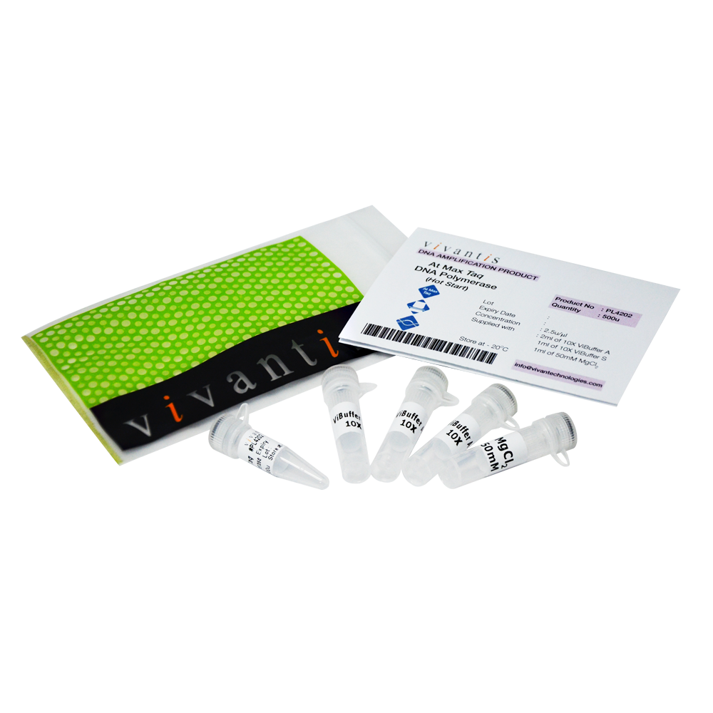 AtMax Taq DNA Polymerase (2.5U/µl)