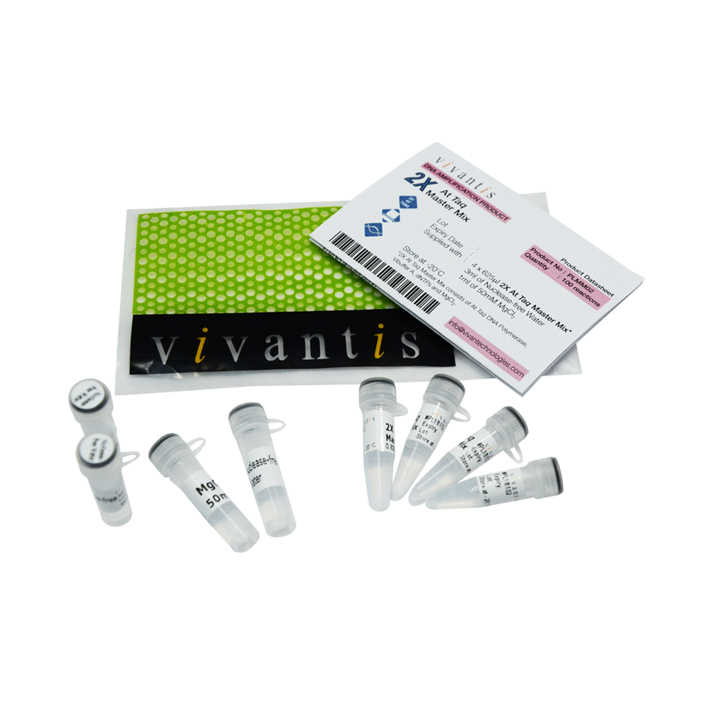 2X ViRed OneStep Taq ReverseTrans PCR Master Mix