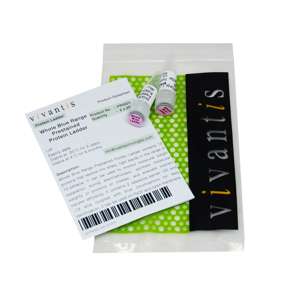 Whole Blue Range Prestained Protein Ladder - Q2UB