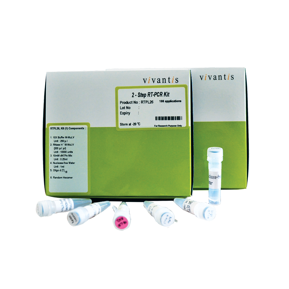 Viva 2-Steps RT-PCR Kit with M-MULV RT / Chromo MaxTaq DNA Polymerase - Q2UB