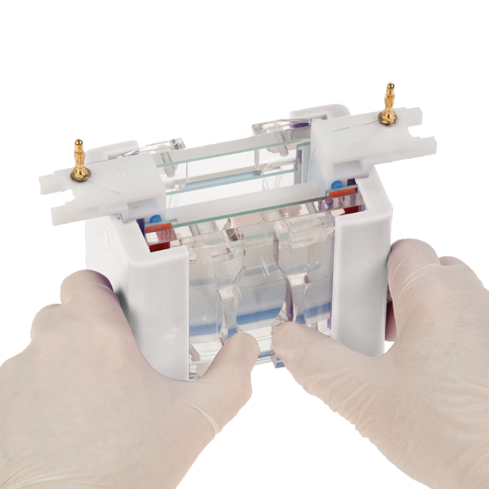 EB-VES-SPMINI External Casting Stand, no casting base - Q2UB