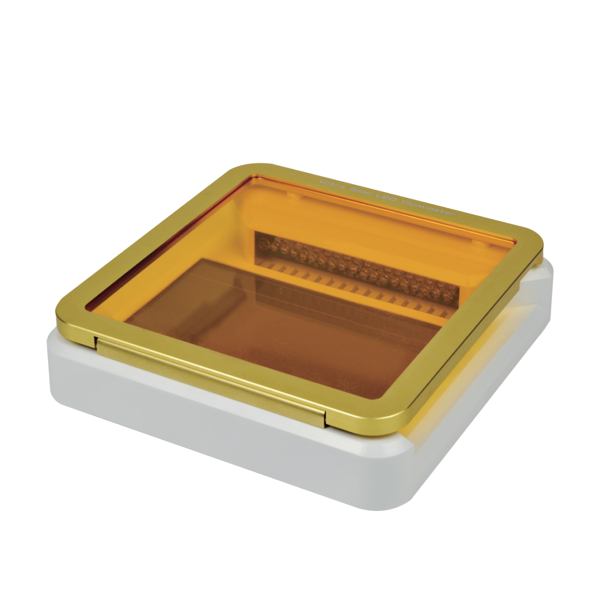 SafeViewer Blue Light Transilluminator - Q2UB