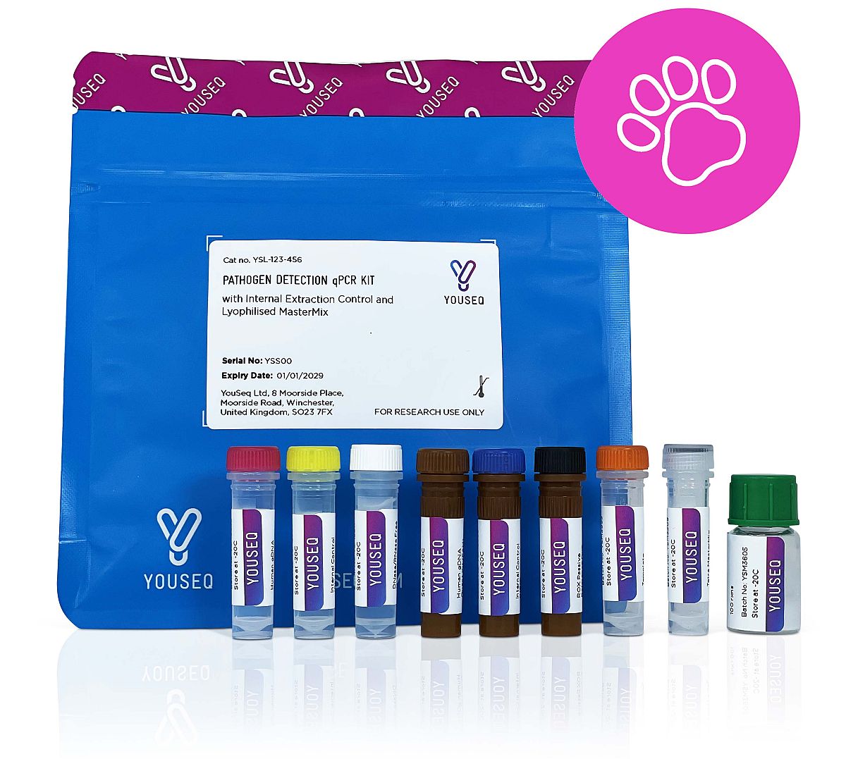 Feline immunodeficiency virus (FIV) RT-qPCR Test Kit - Q2UB