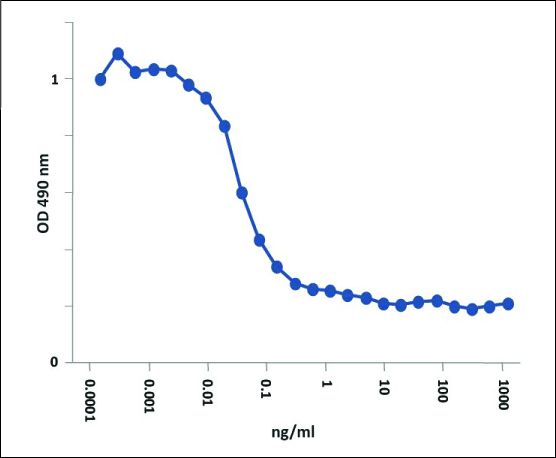 BAFF, Soluble (human) (60-mer) (rec.) (highly active)