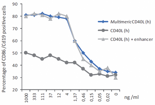 CD40L (human) (multimeric) (rec.)