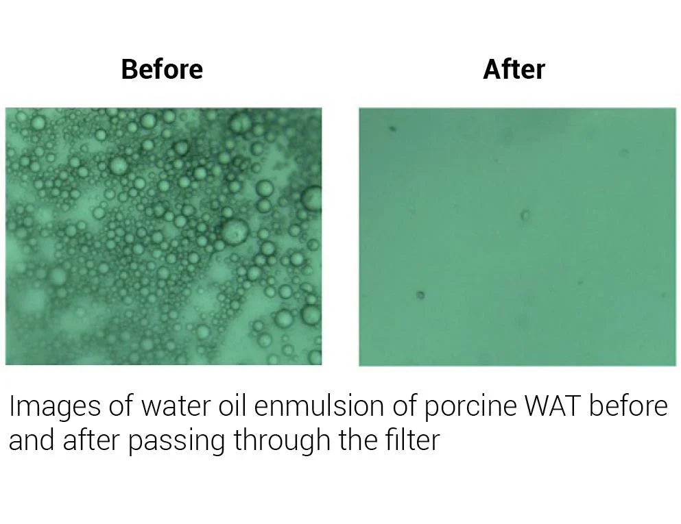 MinuteTM Total Protein Extraction Kit for Adipose Tissues/Cultured Adipocytes
