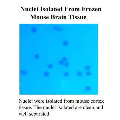 MinuteTM Single Nucleus Isolation Kit for Neuronal Tissues/Cells