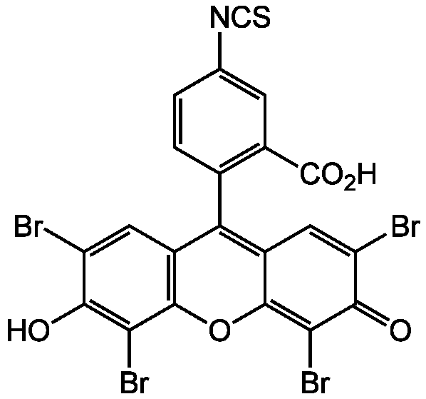 Eosin-5-isothiocyanate