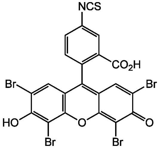 Eosin-5-isothiocyanate