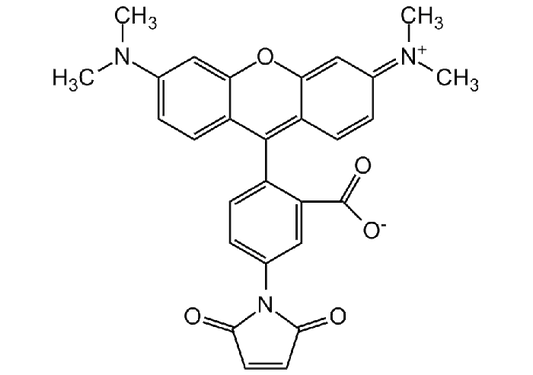 Tetramethylrhodamine-5-maleimide