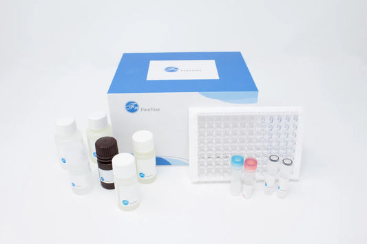 Human TGF-β1 (Transforming Growth Factor Beta 1) ELISA Kit