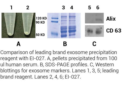 MinuteTM Hi-Efficiency Exosome Isolation Reagent (Non-PEG)