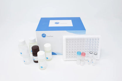 Rat TGF-β1 (Transforming Growth Factor Beta 1) ELISA Kit