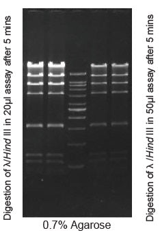 Psp124BI - Q2UB