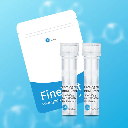 FSHR antibody
