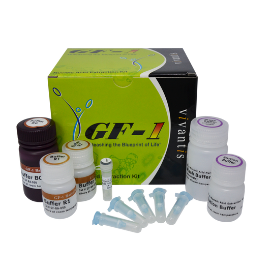 GF-1 Bacterial DNA Extraction Kit (Proteinase K included)
