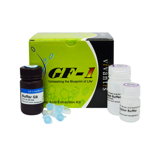 GF-1 Gel DNA Recovery Kit