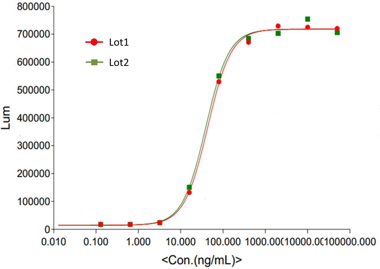 Cetuximab